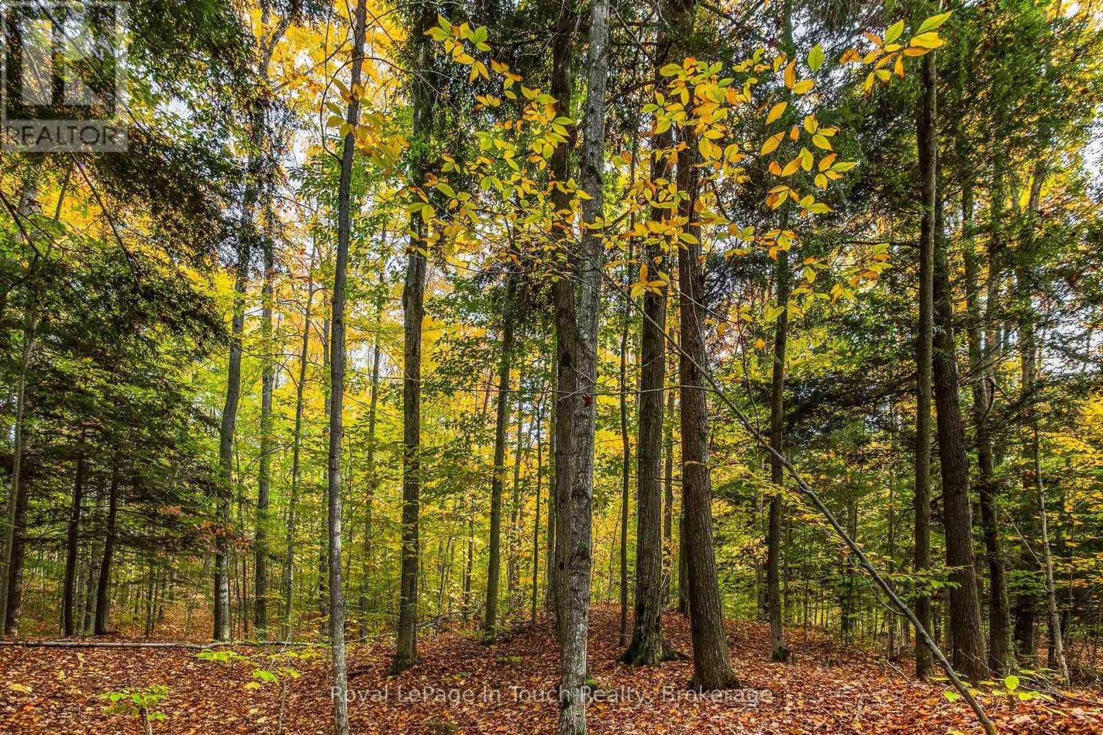 












LOT 14 CONCESSION 18 ROAD W

,
Tiny,







Ontario
L9M0M6

