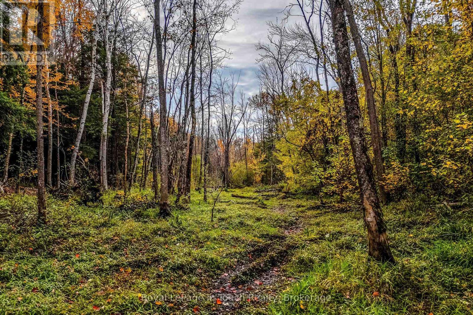












LOT 14 CONCESSION 18 ROAD W

,
Tiny,







Ontario
L9M0M6

