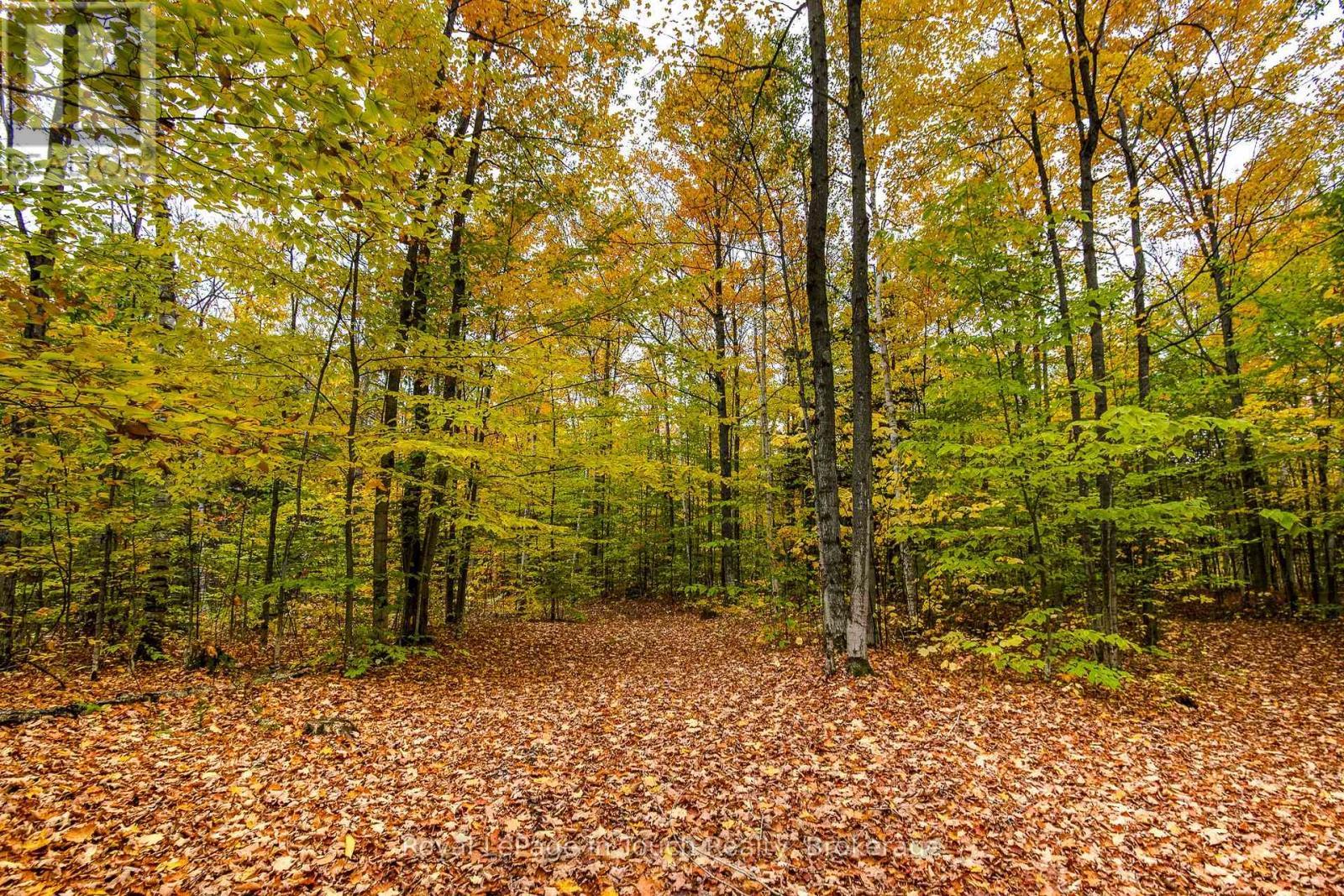 












LOT 14 CONCESSION 18 ROAD W

,
Tiny,







Ontario
L9M0M6

