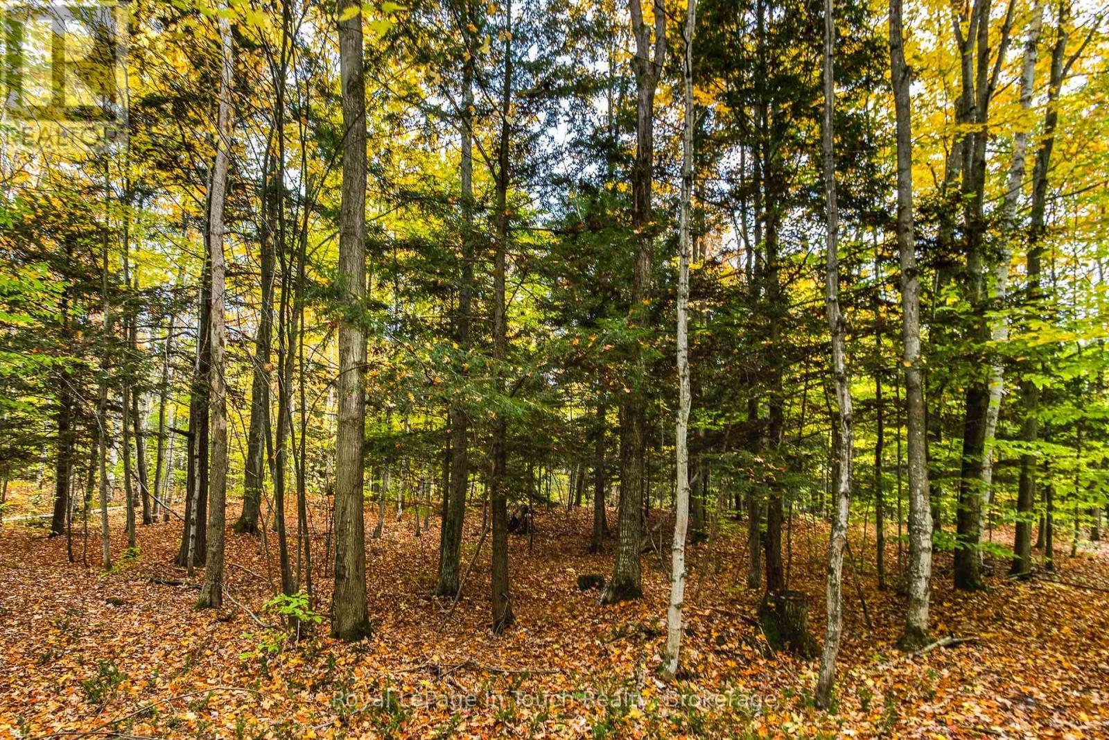 












LOT 14 CONCESSION 18 ROAD W

,
Tiny,







Ontario
L9M0M6

