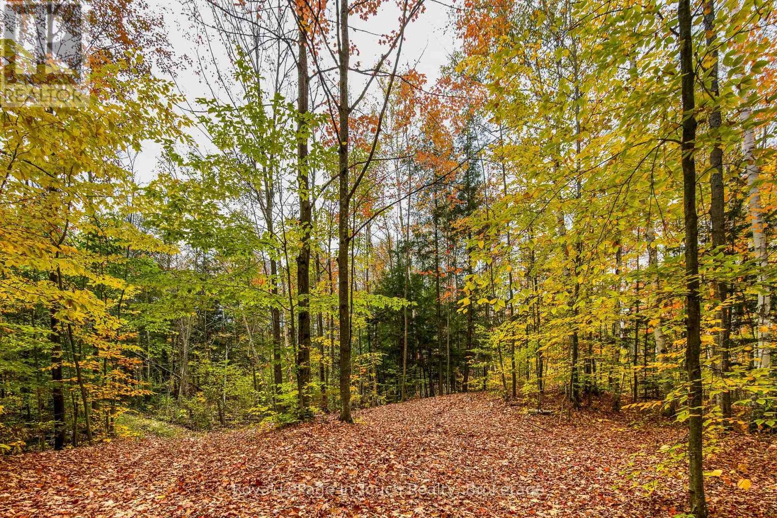 












LOT 14 CONCESSION 18 ROAD W

,
Tiny,







Ontario
L9M0M6

