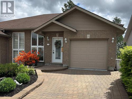 15 Palisade