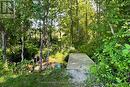 Walking Trail