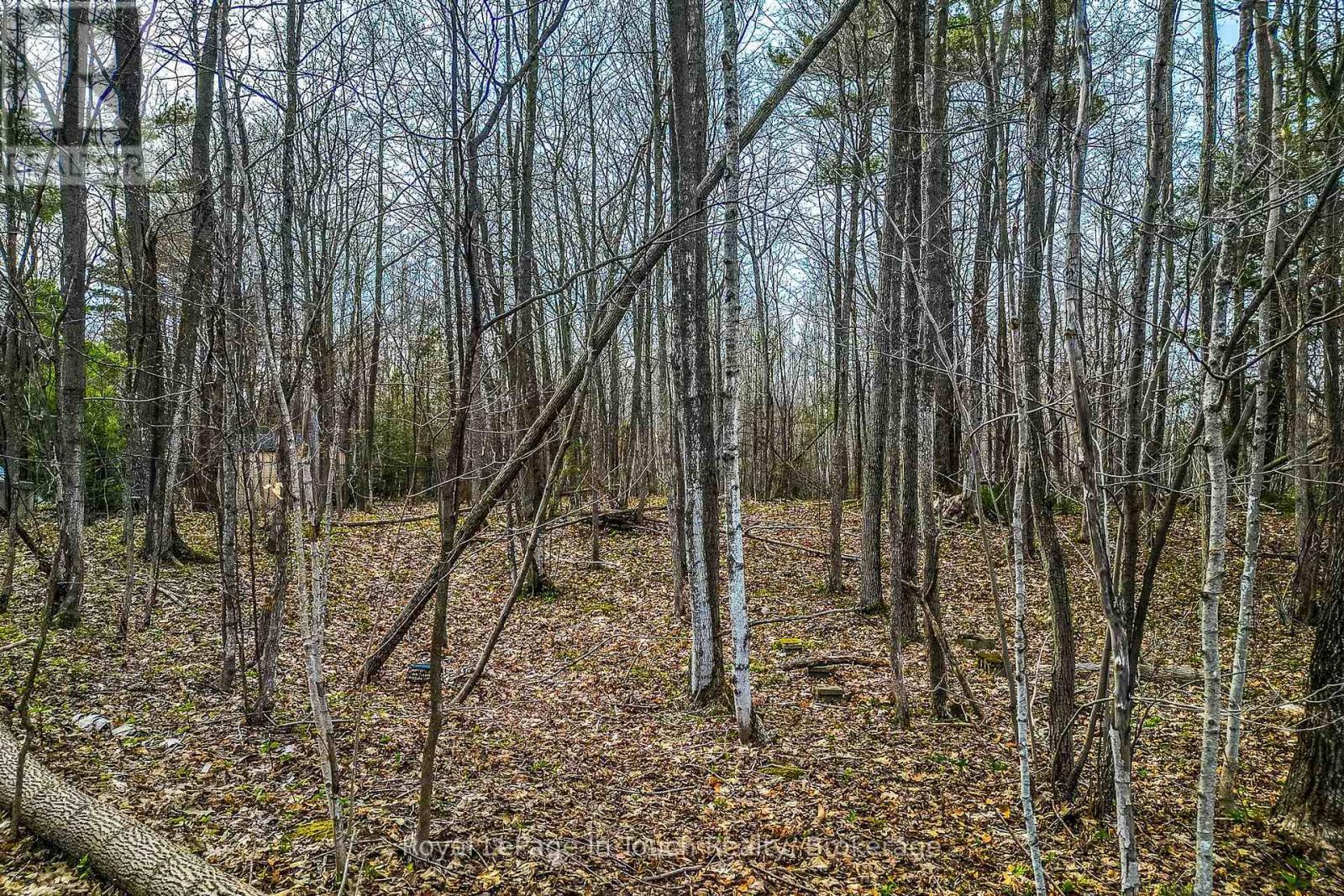 












LOT C PARKLANE COURT

,
Tiny,







Ontario
L9M0J1

