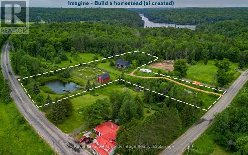 ai mock up homestead option