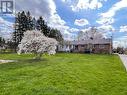 Flowering Magnolia in the spacious yard