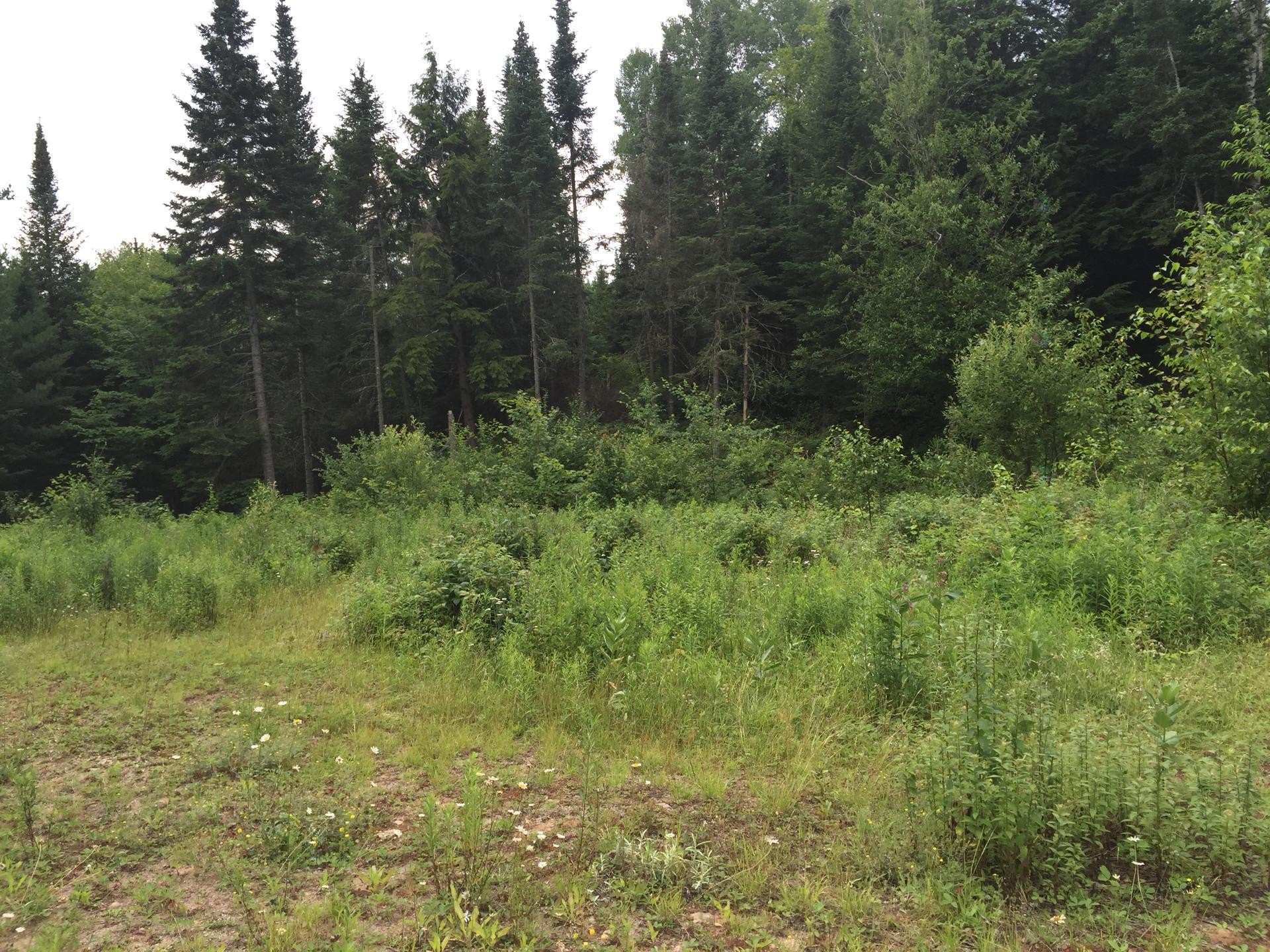 












Ch. du Loup

,
Harrington,







QC
J8G2T3

