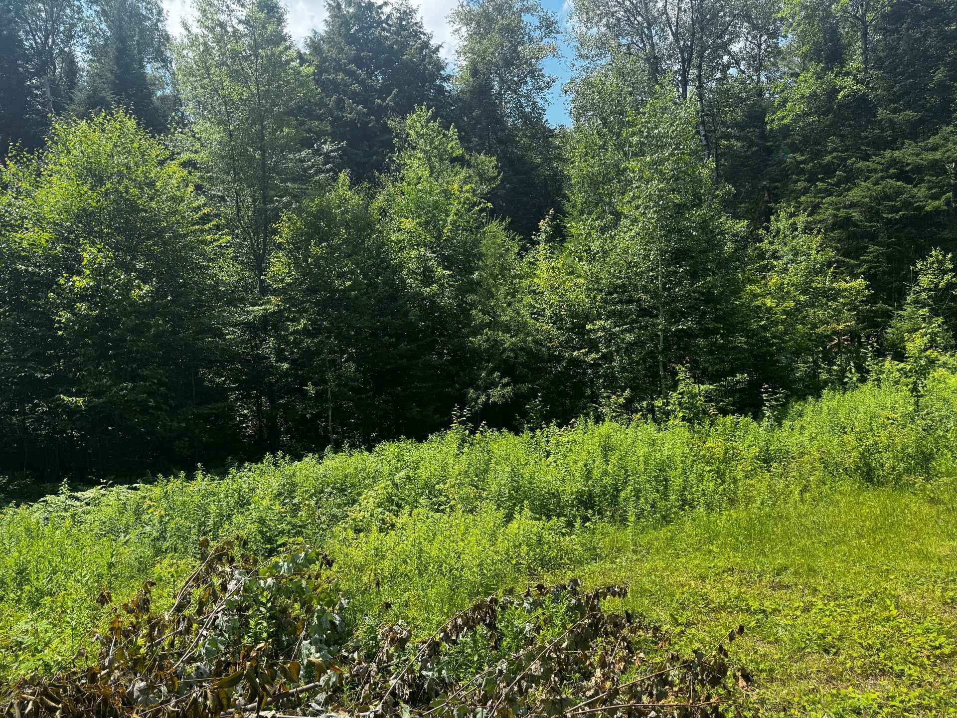 












Ch. du Loup

,
Harrington,







QC
J8G2T3

