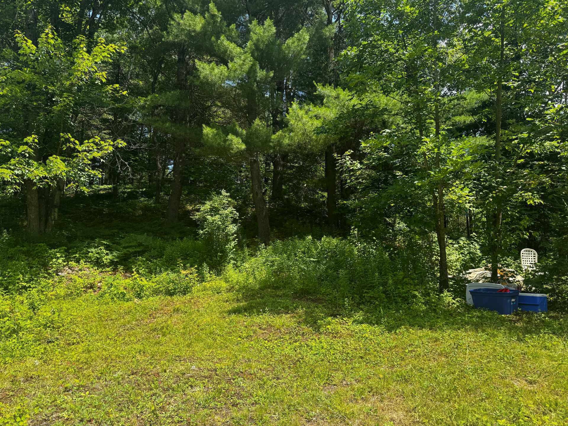 












Ch. du Loup

,
Harrington,







QC
J8G2T3

