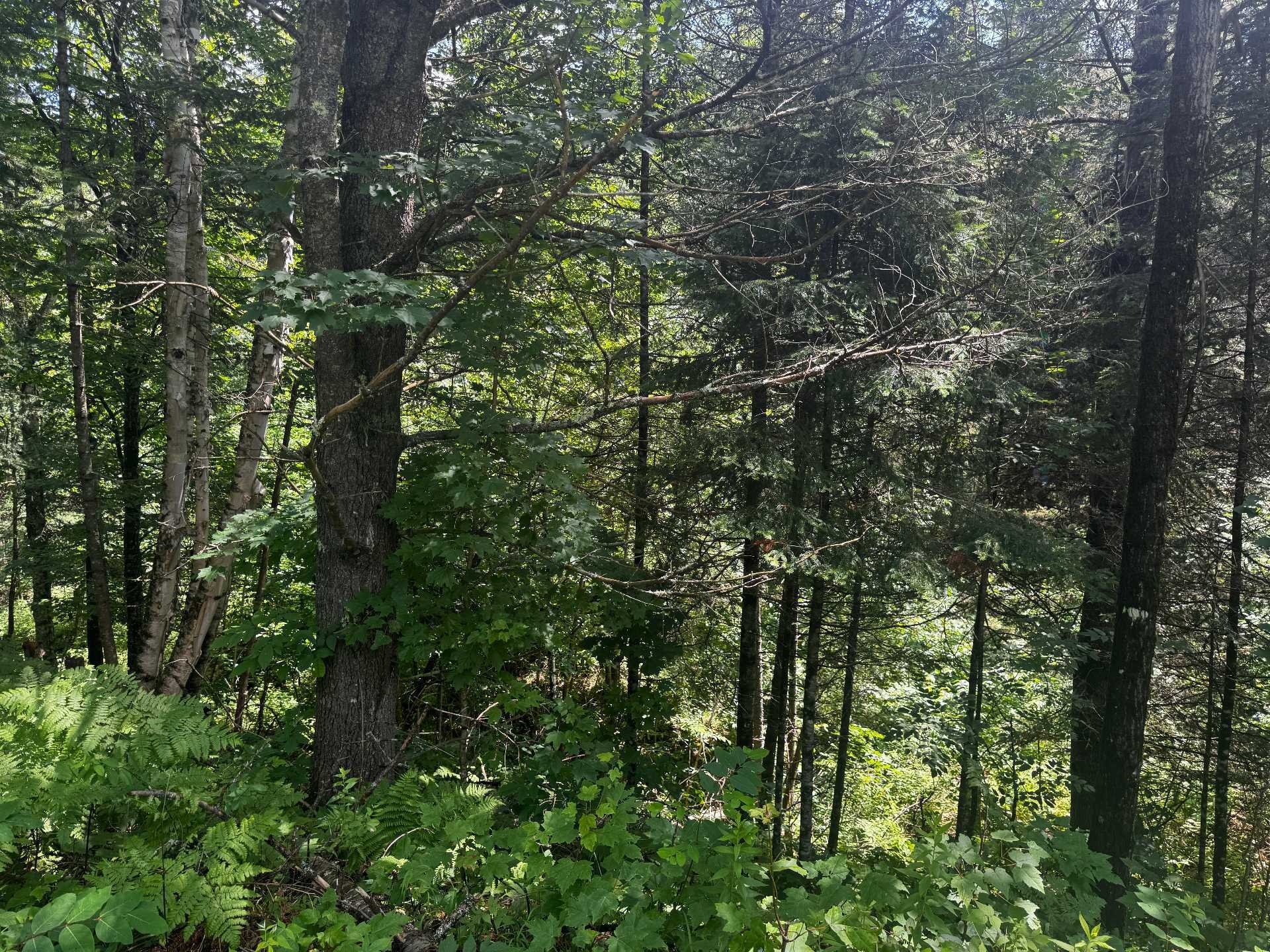 












Ch. du Loup

,
Harrington,







QC
J8G2T3

