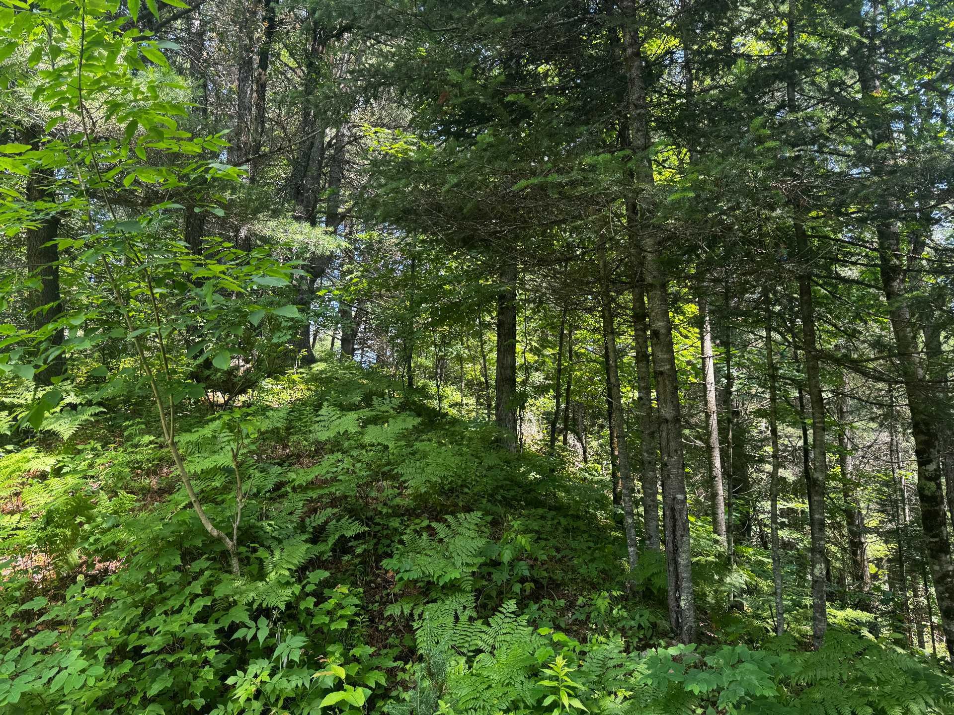 












Ch. du Loup

,
Harrington,







QC
J8G2T3

