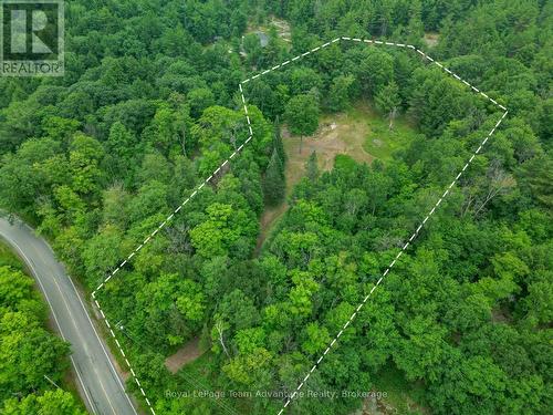Aerial with Approximate Lot Line