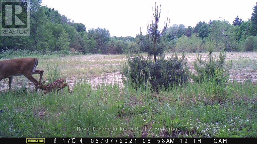 












594 COUNTY ROAD 6 ROAD N

,
Tiny,







Ontario
L0L2J0

