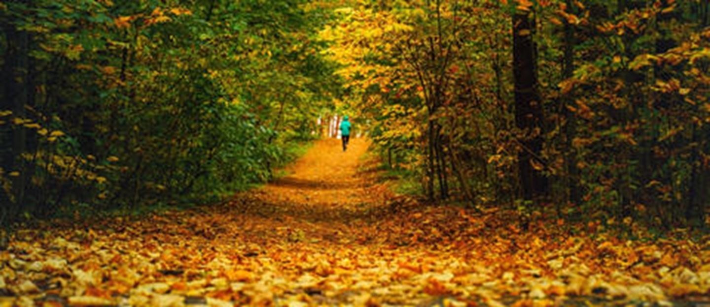 












Rue de la Musarde

,
Wentworth-Nord,







QC
J0T1Y0

