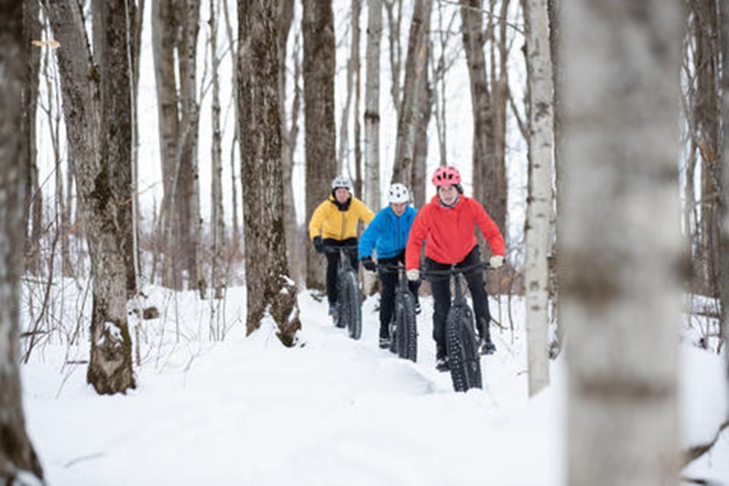 












Rue de la Musarde

,
Wentworth-Nord,







QC
J0T1Y0

