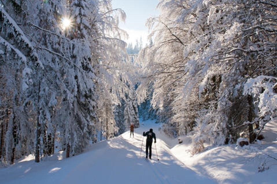 












Rue de la Musarde

,
Wentworth-Nord,







QC
J0T1Y0

