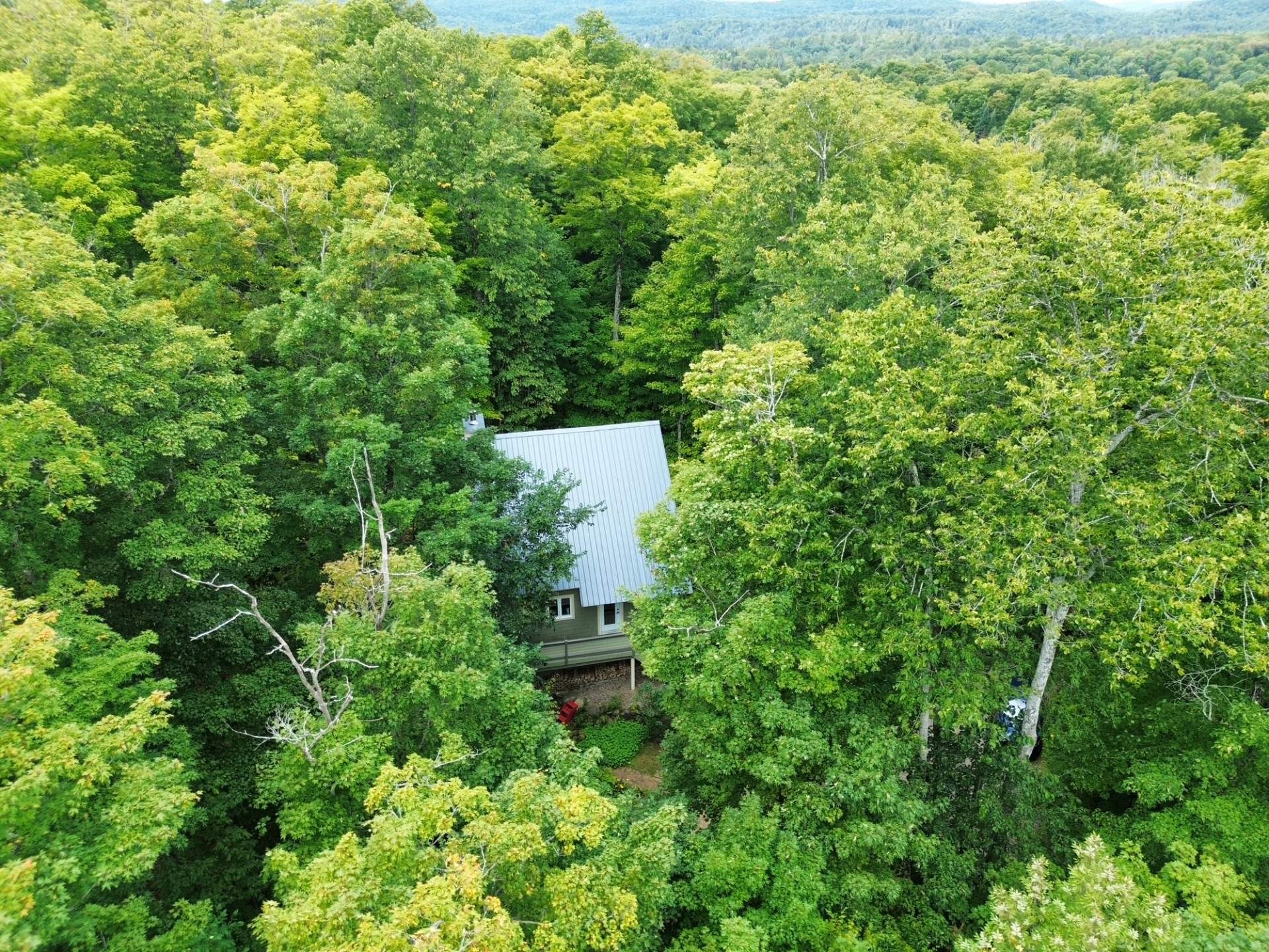 









100


Ch. des Labradors

,
Harrington,




QC
J8G0E2


