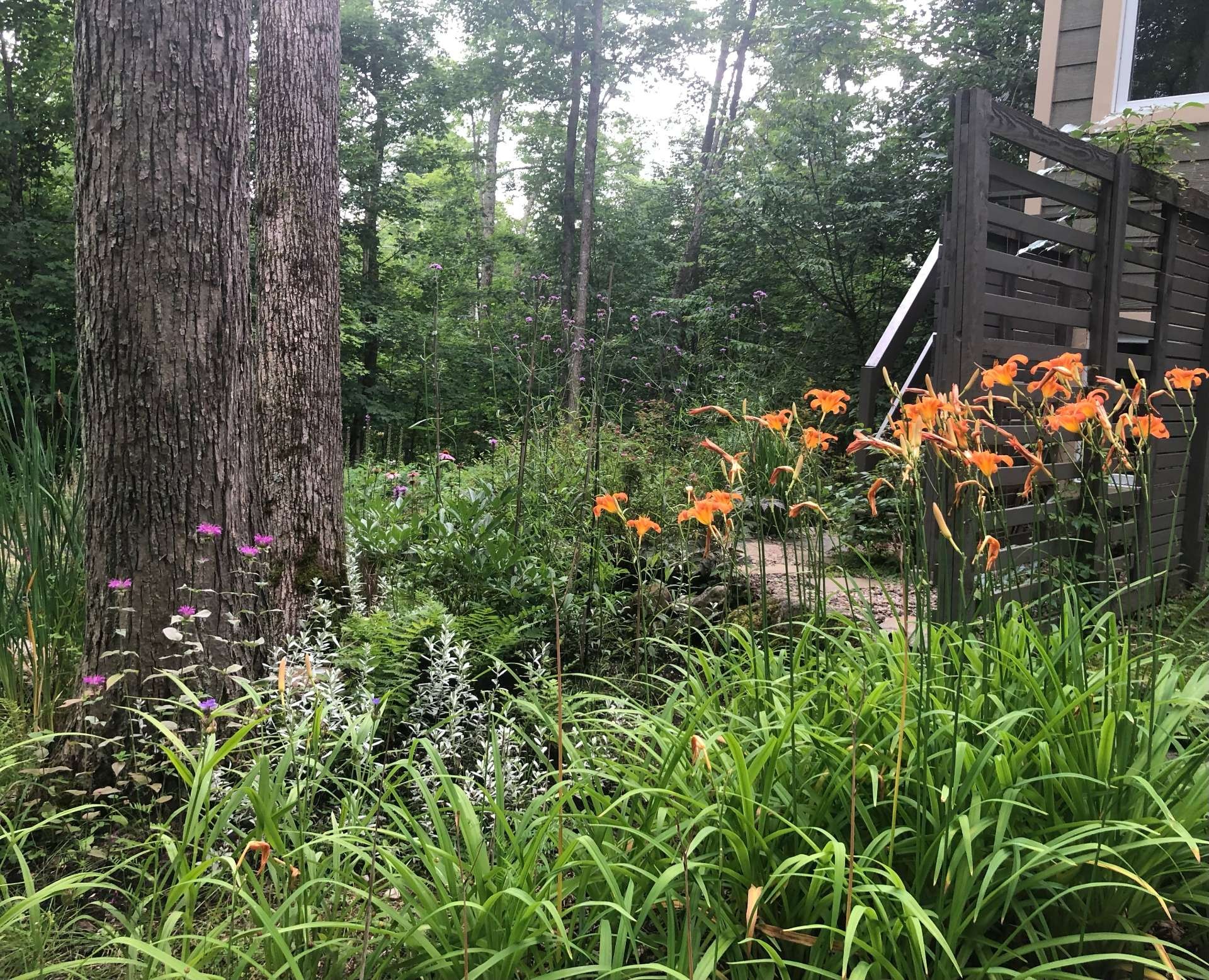 









100


Ch. des Labradors

,
Harrington,




QC
J8G0E2

