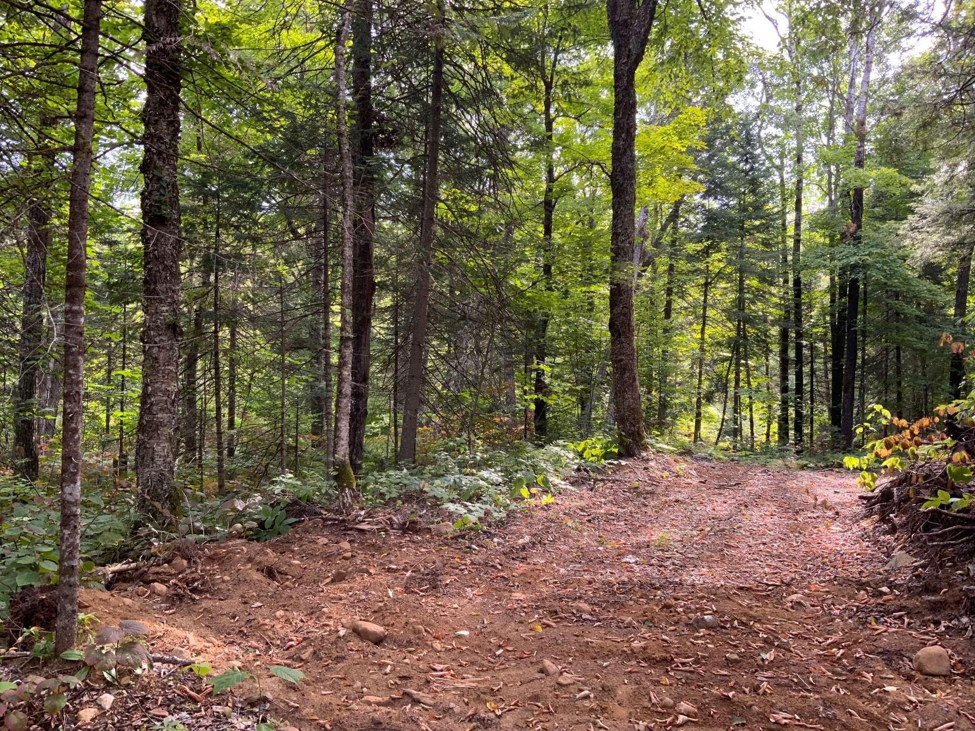 









131


Mtée Rochon

,
Ripon,







QC
J0V1V0

