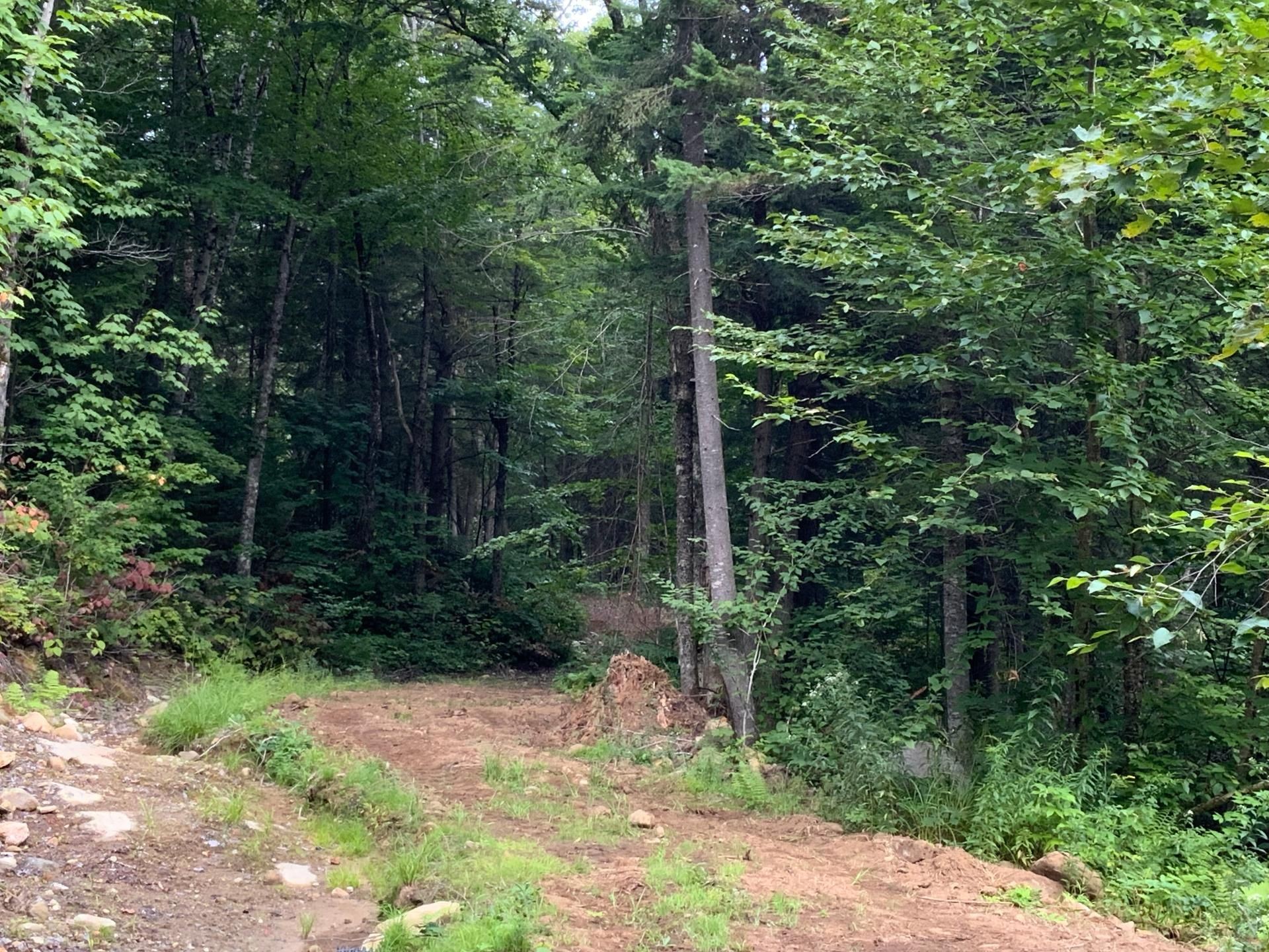 









131


Mtée Rochon

,
Ripon,







QC
J0V1V0

