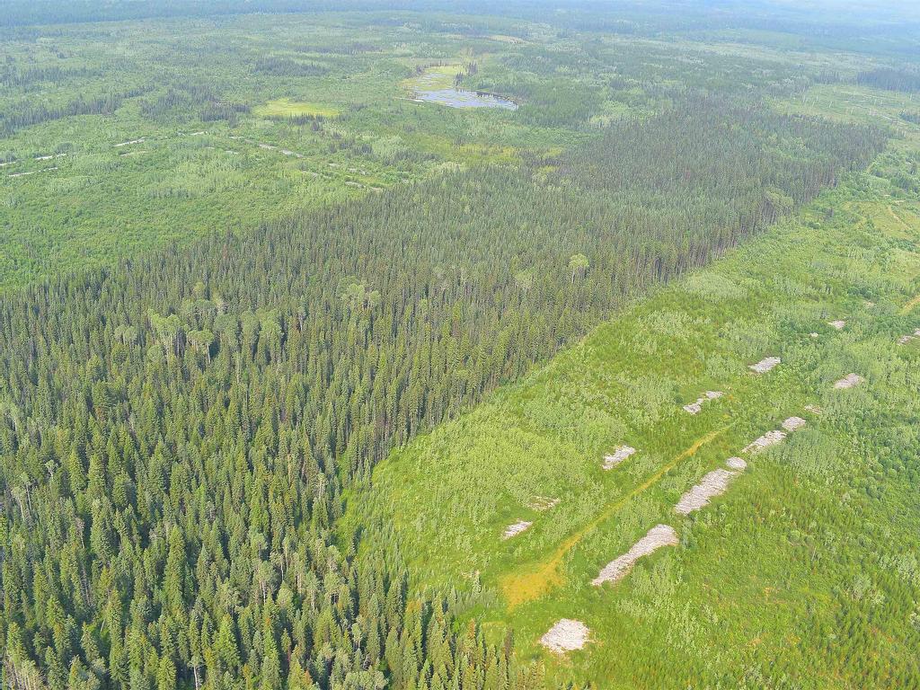 












Eaglet Lake

,
Prince George,







BC
V0J 3C0

