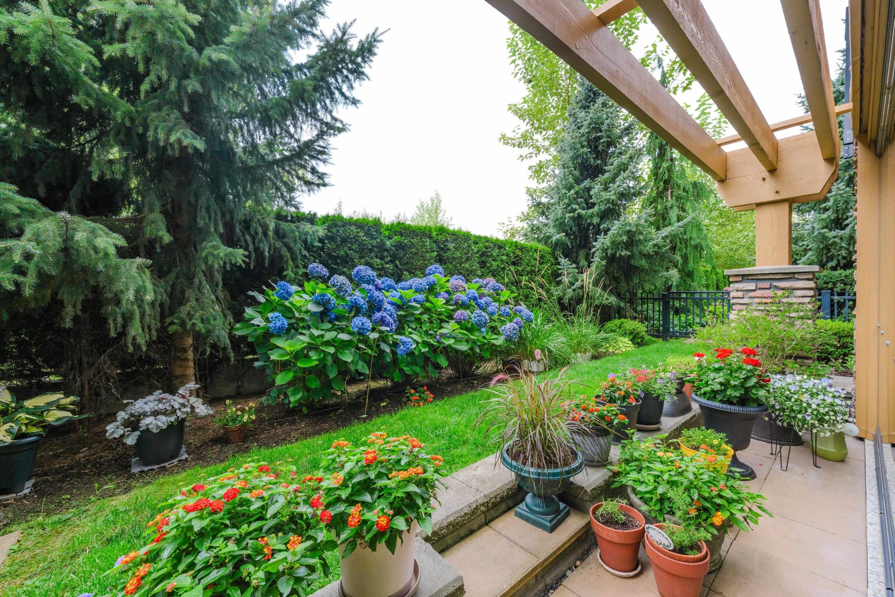 









8067


207

Street, 127,
Langley,




BC
V2Y 0N9

