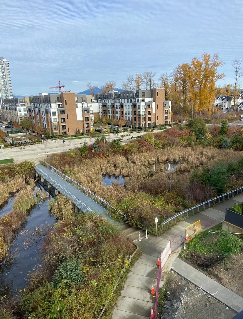 









20049


82

Avenue, 512,
Langley,




BC
V2Y 2A7

