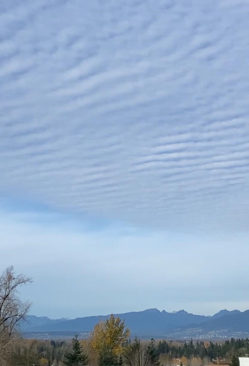 









20049


82

Avenue, 512,
Langley,




BC
V2Y 2A7

