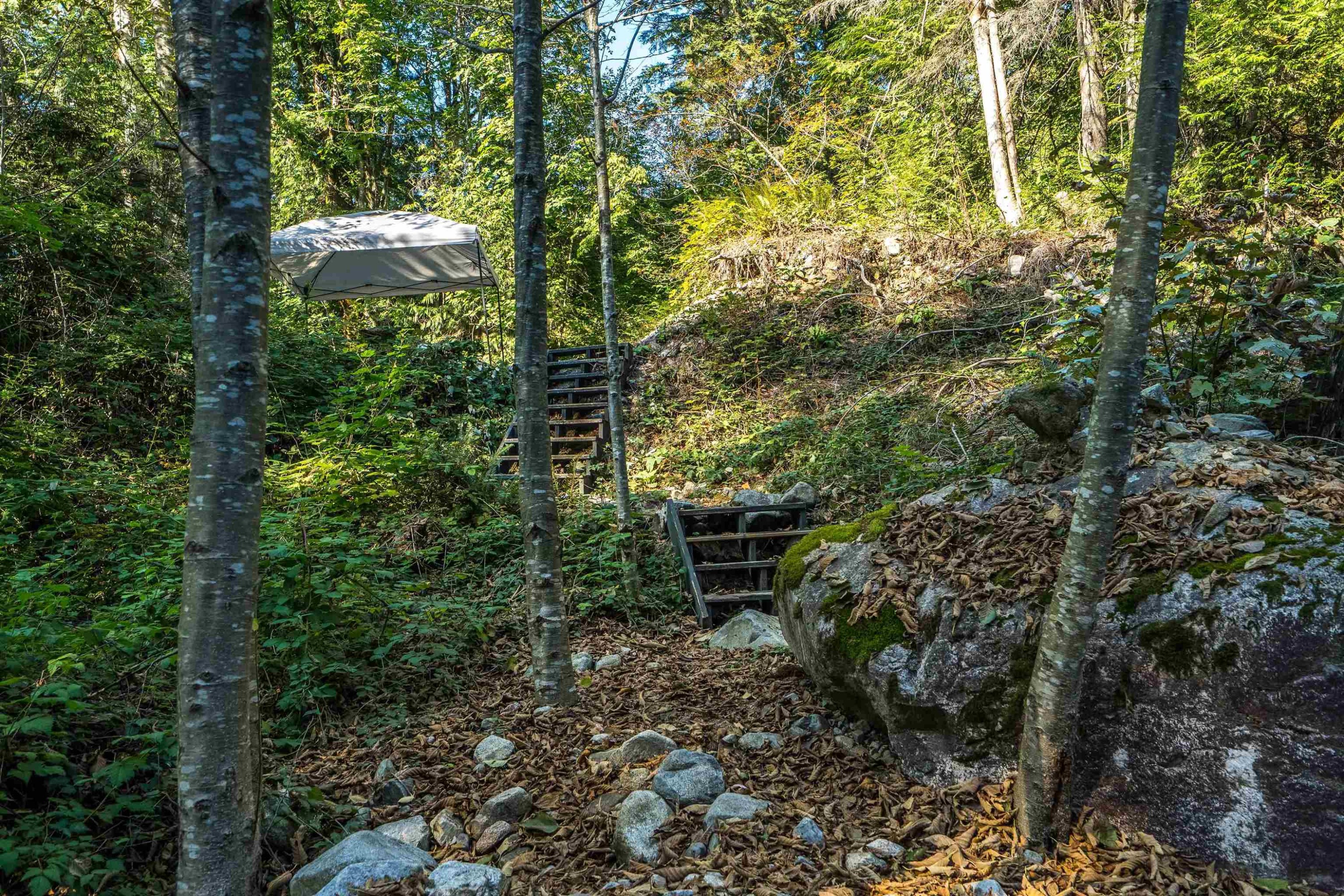 









36398


Cascade Ridge

Drive,
Mission,




BC
V2V 7G9

