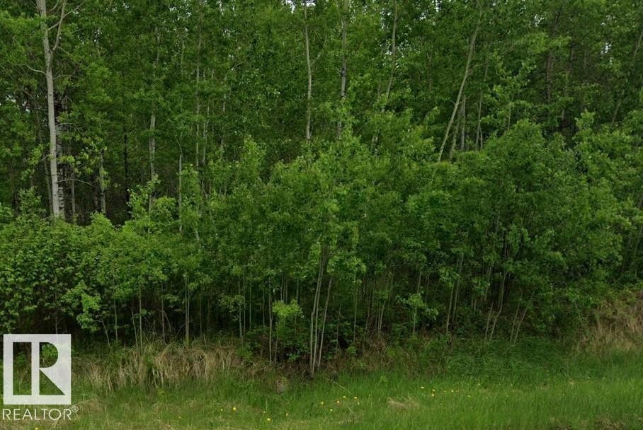 












511 RR 222 

,
Rural Strathcona County,







AB
T8C 1G9

