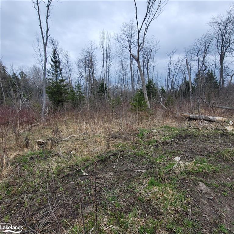 









PART LOT D20


Stokes Bay

Road,
Bruce,







ON
N0H 1W0

