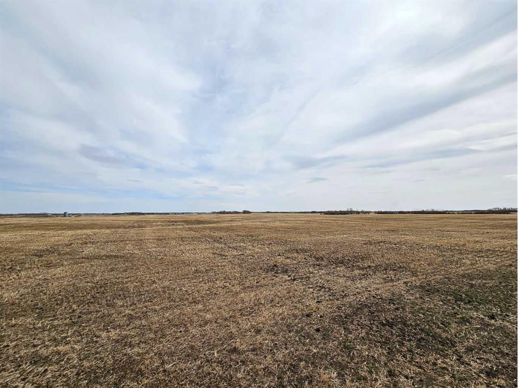 












TOWNSHIP ROAD 39-0

,
Rural Stettler No. 6, County of,







AB
T0C 2L0

