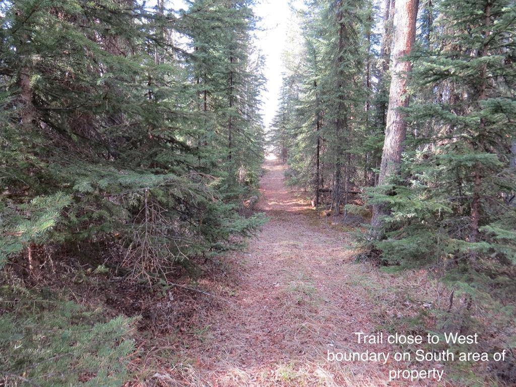 












Pine Ridge

Drive,
Rural Clearwater County,







AB
T4T 1A7


