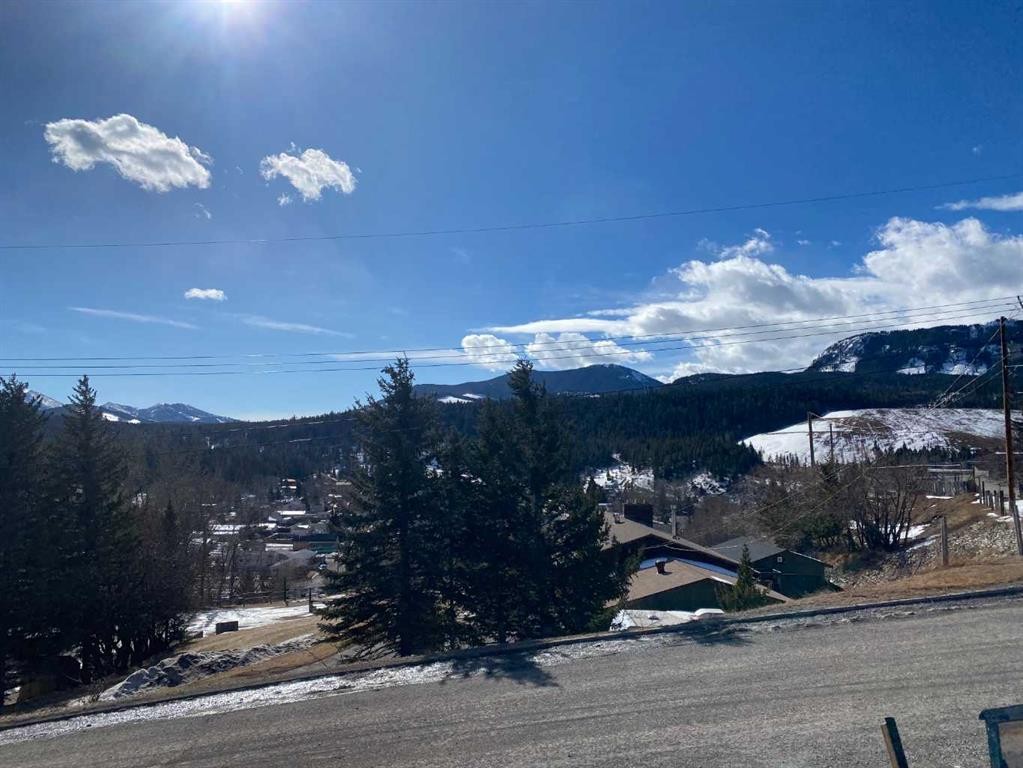 









8305


18

Avenue,
Coleman,




AB
T0K 0M0

