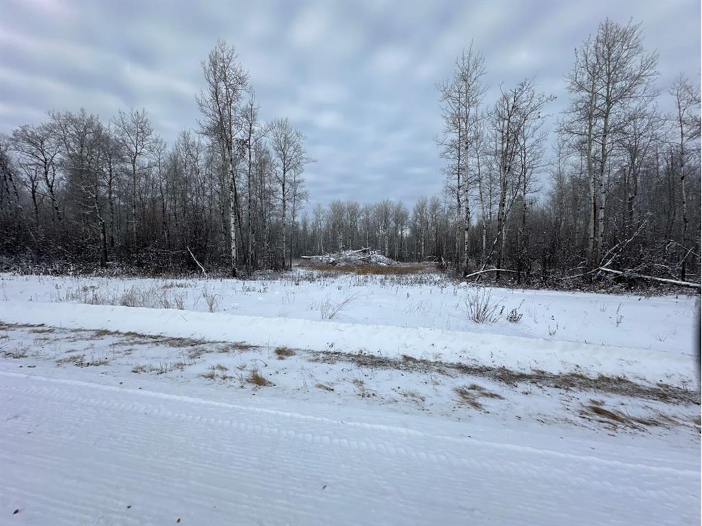 









5


Westview Country Estates L5

,
Rural Northern Lights, County of,







AB
T8S 1T1

