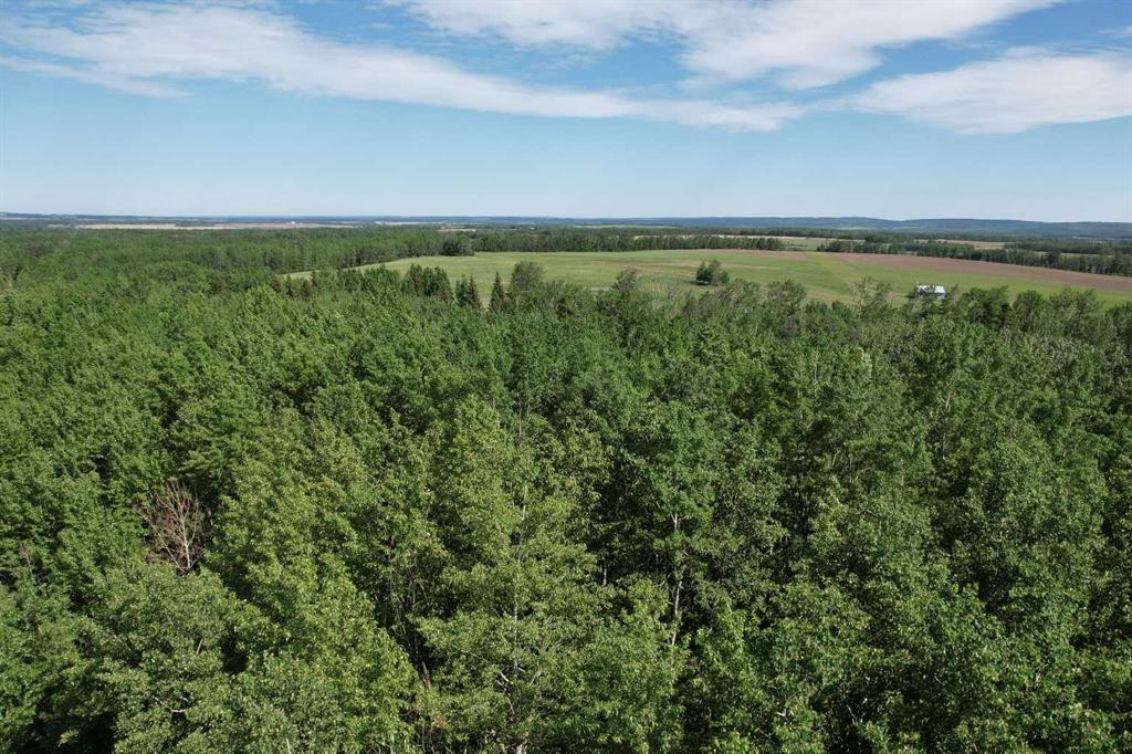 









570069


Range Road 104

,
Rural Woodlands County,




AB
T0G 1N0

