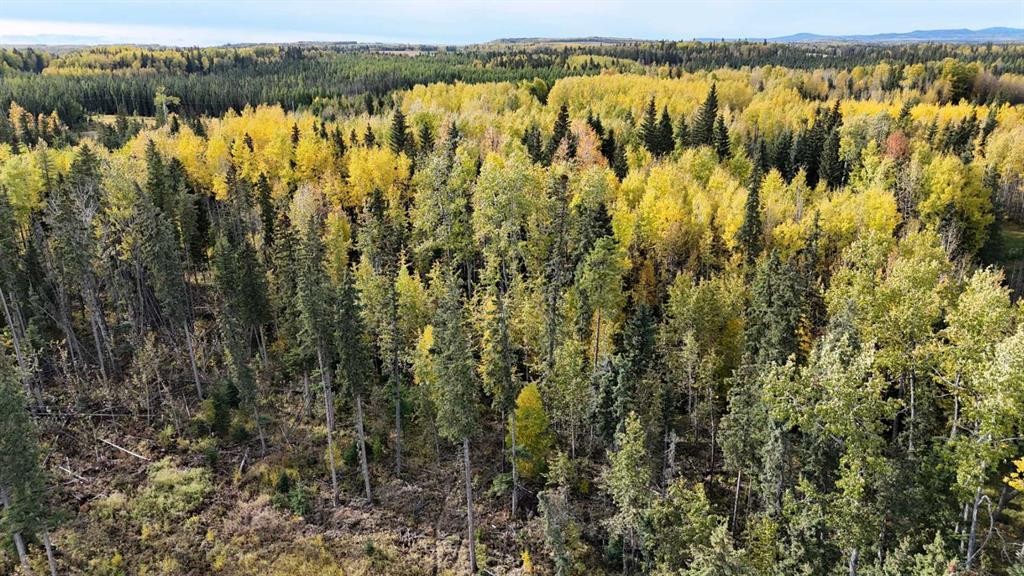 









16322B


Township Road 544

,
Rural Yellowhead County,







AB
T7E 3V9

