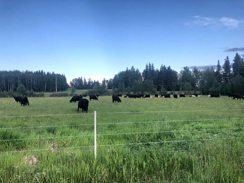 









NW-4-54


-17-W5

,
Rural Yellowhead County,







AB
T7E 3M4

