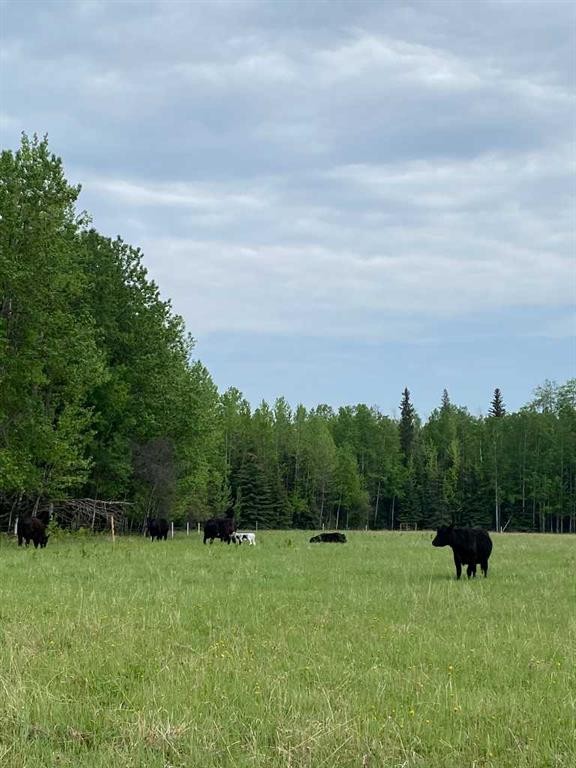 









NW-4-54


-17-W5

,
Rural Yellowhead County,







AB
T7E 3M4

