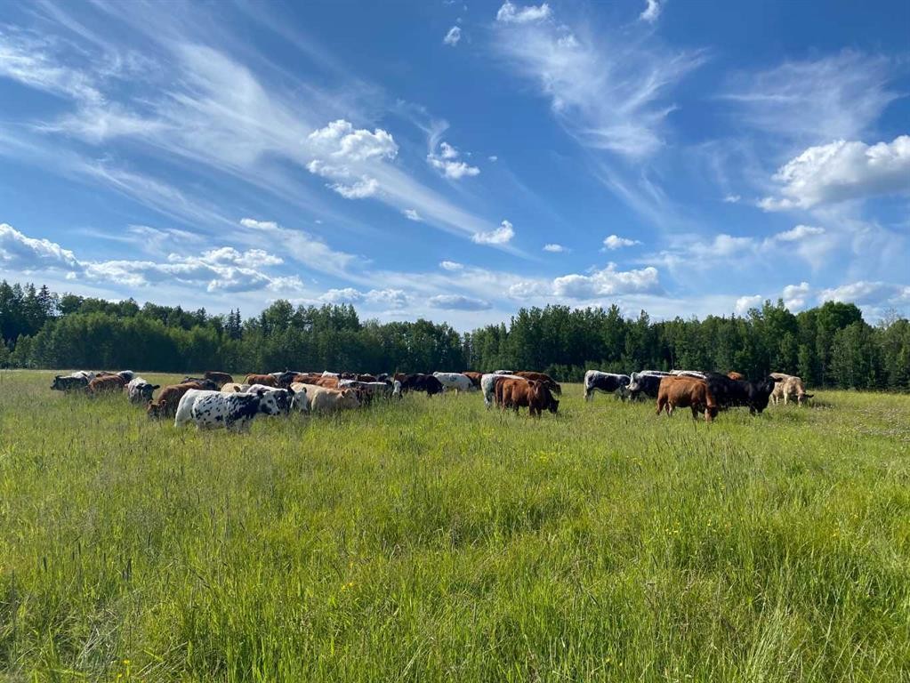 









NW-4-54


-17-W5

,
Rural Yellowhead County,







AB
T7E 3M4

