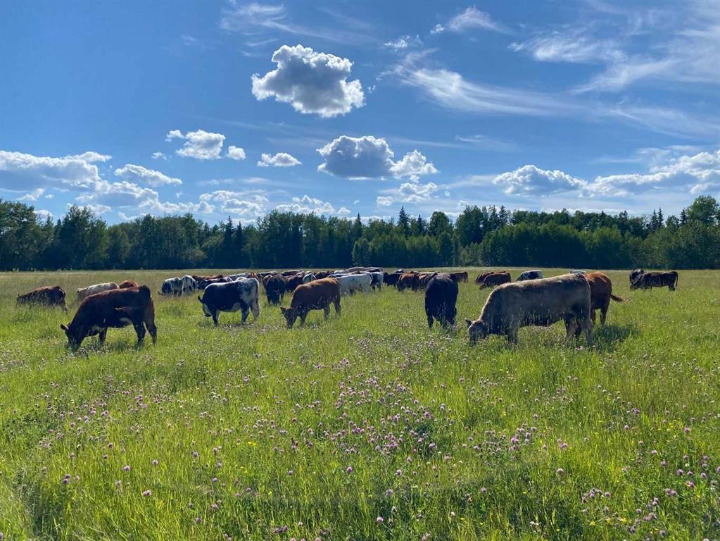 









NW-4-54


-17-W5

,
Rural Yellowhead County,







AB
T7E 3M4

