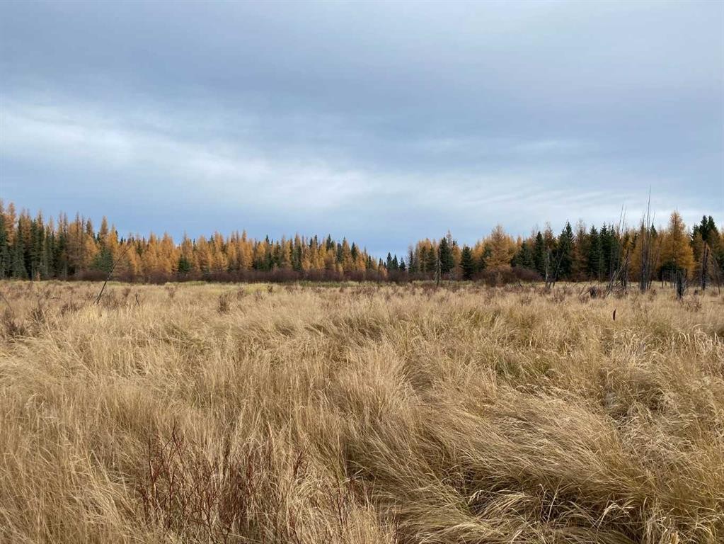 









NW-4-54


-17-W5

,
Rural Yellowhead County,







AB
T7E 3M4

