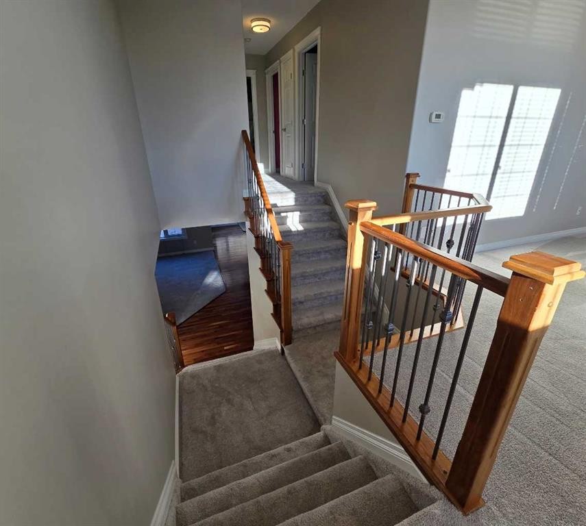 









6138


11

Avenue,
Edson,




AB
T7E 1Y8

