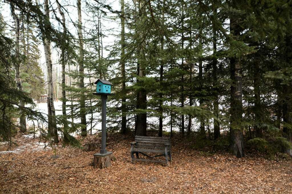 









6218


12

Avenue South,
Edson,




AB
T7E1Y5

