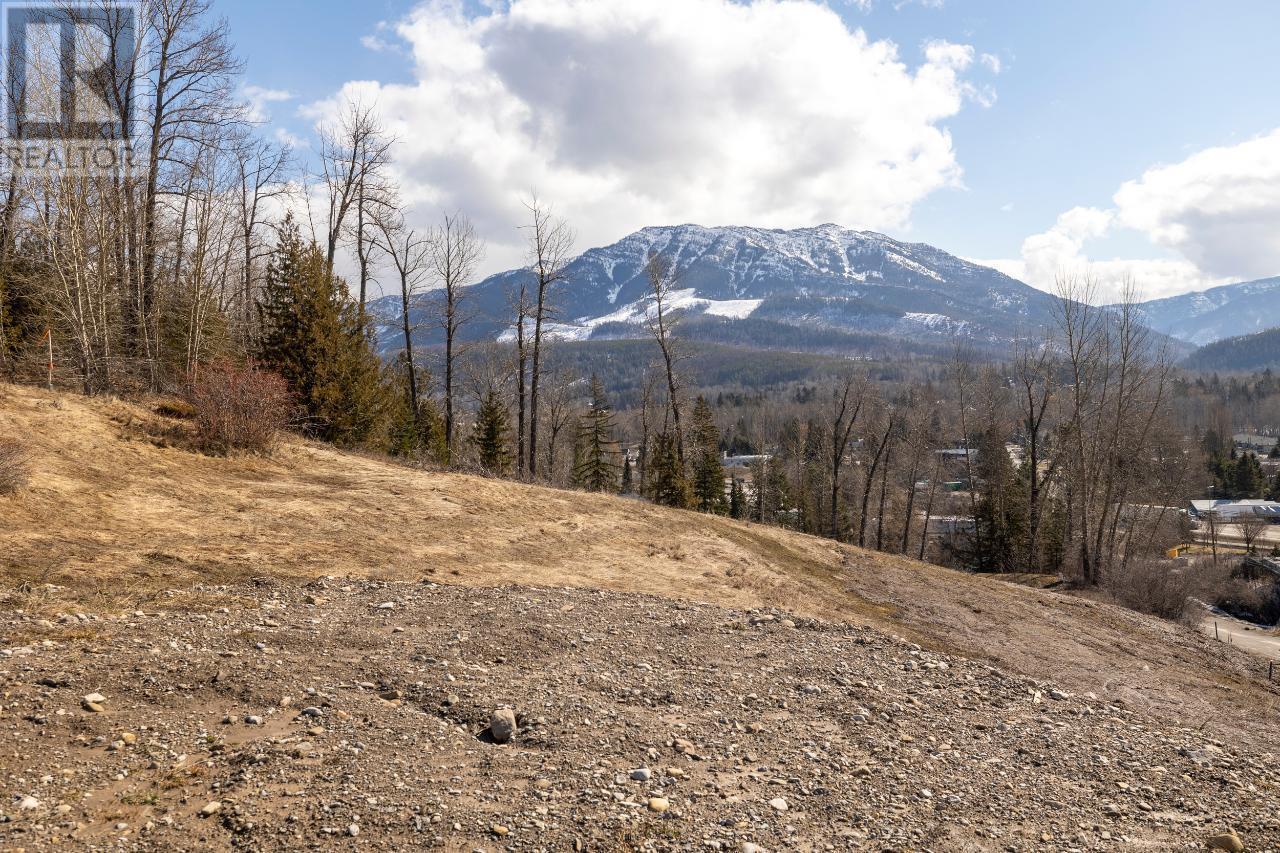 












1653 MCLEOD Avenue

,
Fernie,







British Columbia
V0B1M1

