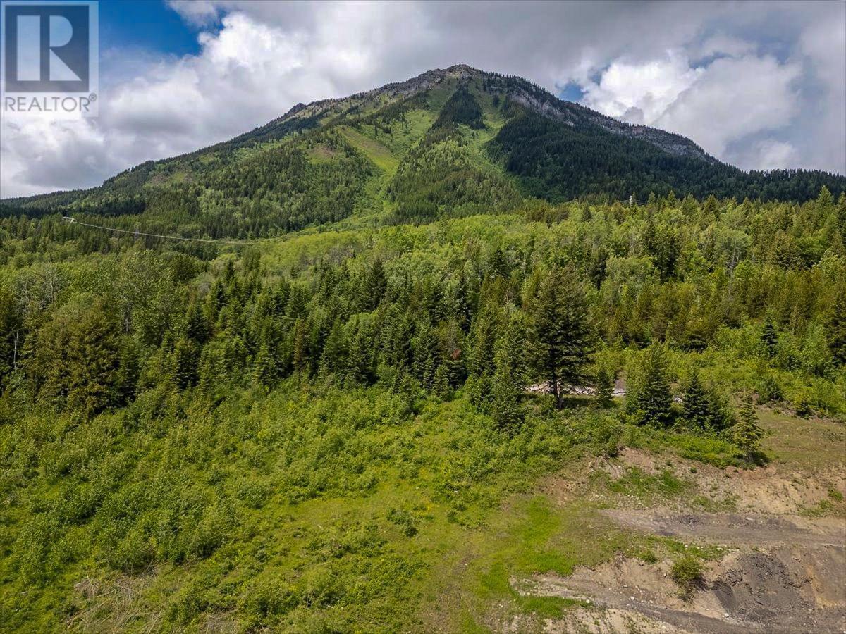












200 BURMA Road Unit# LOT 8

,
Fernie,







British Columbia
V0B1M0

