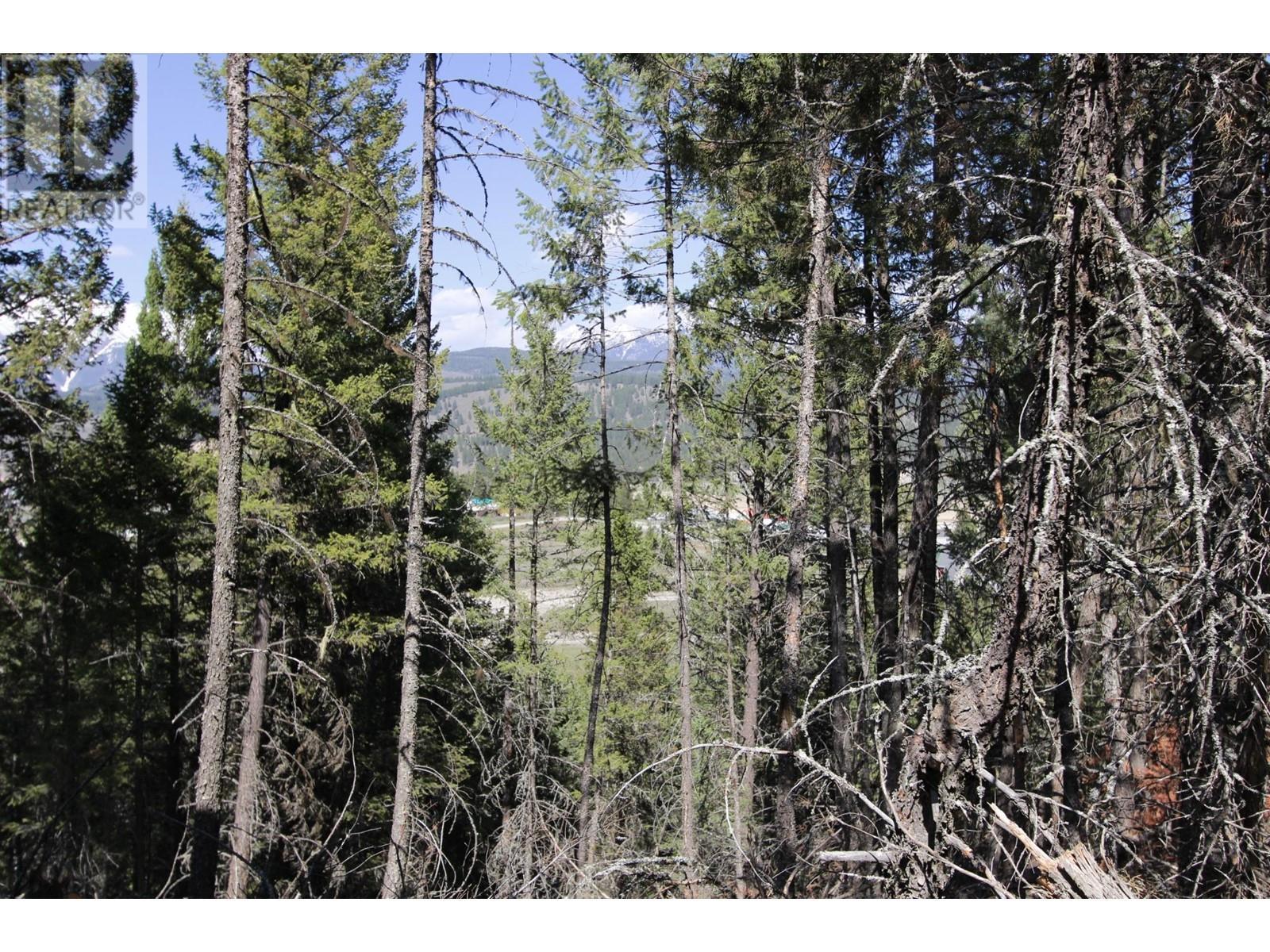 












Lot 18 OSPREY LANDING Drive

,
Wardner,







British Columbia
V0B2J0

