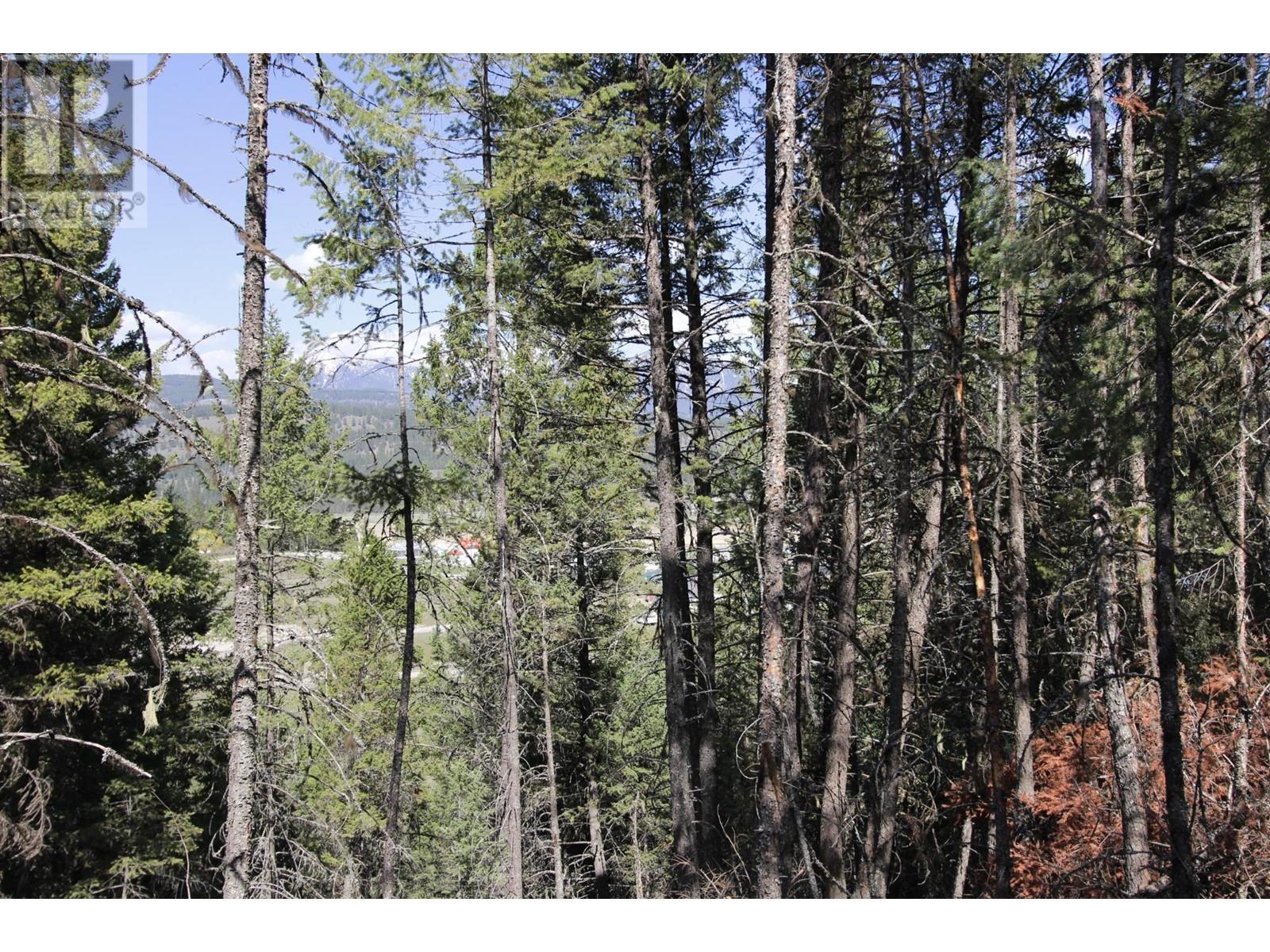 












Lot 18 OSPREY LANDING Drive

,
Wardner,







British Columbia
V0B2J0

