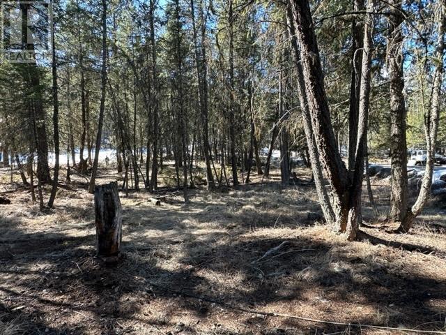 












Lot 18 OSPREY LANDING Drive

,
Wardner,







British Columbia
V0B2J0


