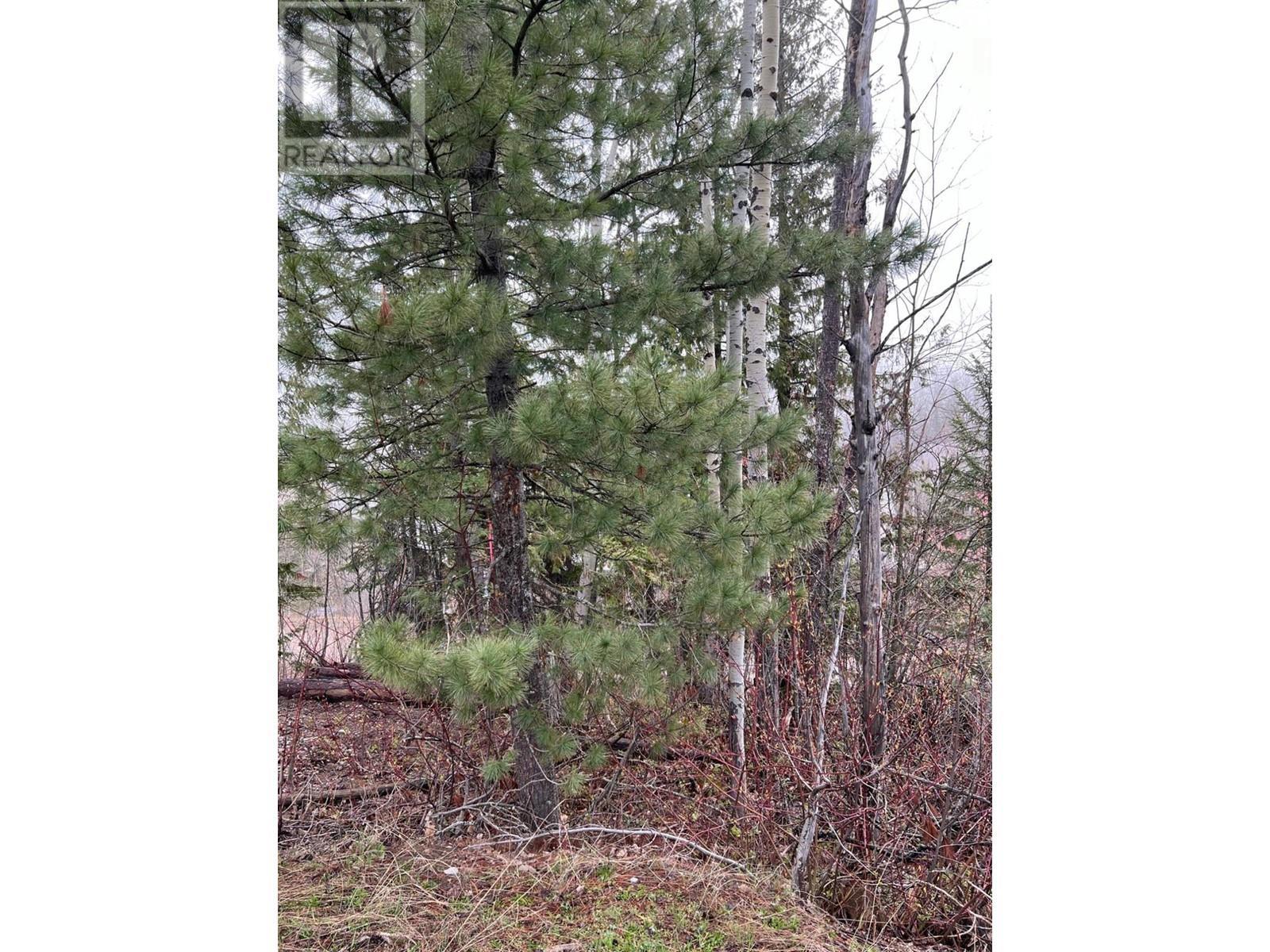 












Lot 18 ALPINE TRAIL Place

,
Fernie,







British Columbia
V0B1M5

